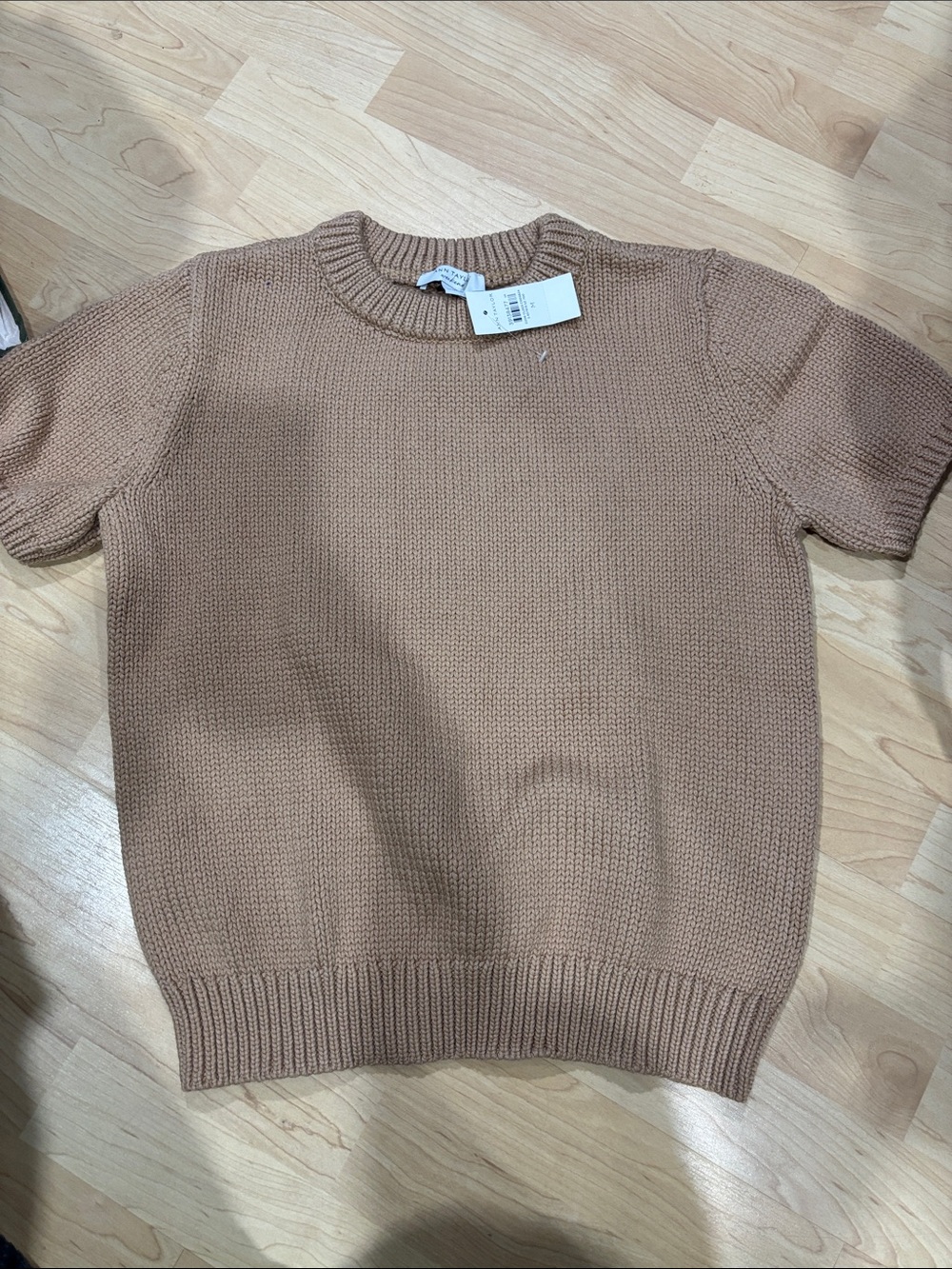 Ann Taylor Men's Crewneck Short-Sleeve Sweater in Camel Beige